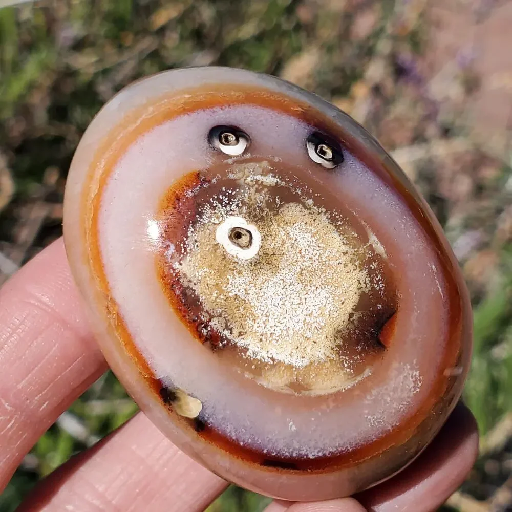Eyes on Back Orca Agate Carnelian Stone Crystal UNIQUE Palmstone 180 grams